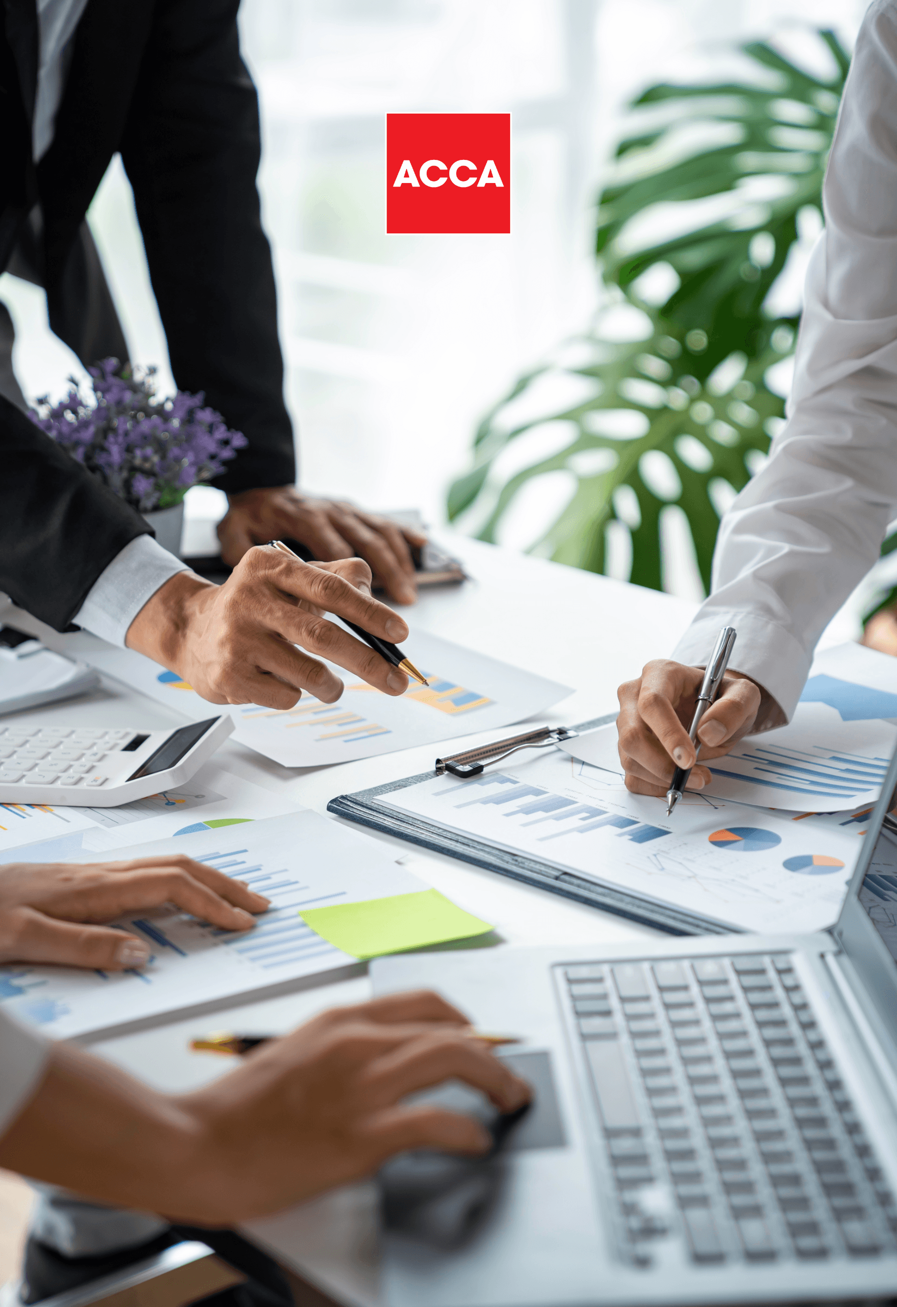 Accountants reviewing financial reports